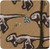 Swaddling Blanket in Tannin T-Rex Dig
