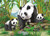 Panda Jigsaw Puzzle - 35 piece