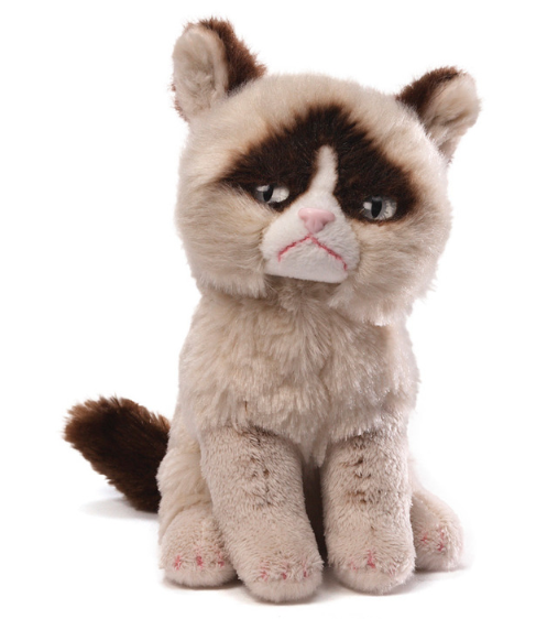 Grumpy Cat