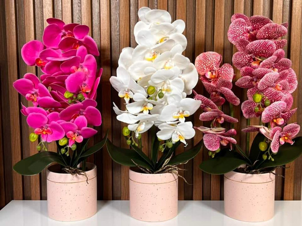 LM201733 زهرة ايتم