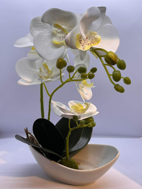 LM201718 زهرة ايتم