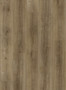 Alder