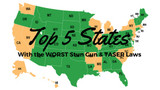 Top 5 States With the Worst Stun Gun & TASER Laws