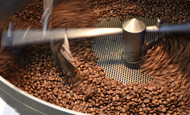 Why Fresh Coffee Matters More Than You Think
