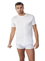 T-Shirt Uomo Mezza Manica Girocollo Nottingham TM6101 in Cotone Jersey