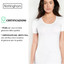 3 Pezzi Maglia Donna Mezza Manica Nottingham TM4014BW in Cotone Costina