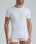 Maglia mezza manica uomo girocollo in cotone interlock Lotto LT1210