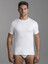 Luca (3 pezzi) Maglia Uomo Girocollo Mezza Manica in Cotone anche Calibrate 8032