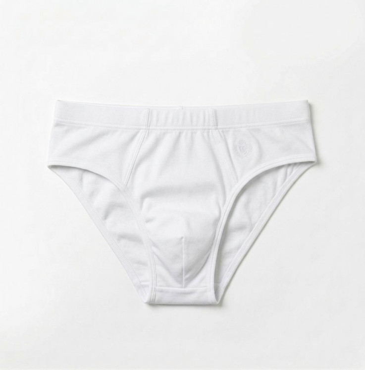 6 Mini Slip Uomo Garda 761  Elastico Interno in 100% Cotone Filo di Scozia con Ricamo su Fianco