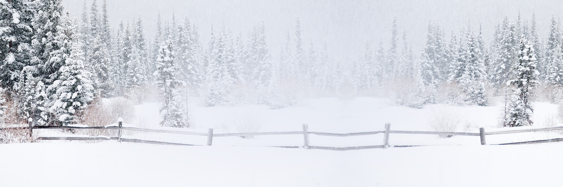 New Styles Added to Markdowns