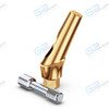 Angulated 25 Degrees Titanium Abutment Concave Profile