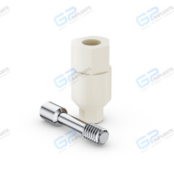 Cad Cam Scan PEEK Abutment