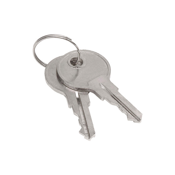 Sellstrom S90479 Replacement Keys for Monitor™ 2000 | SafetyWear.com