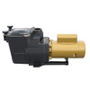 Hayward Super Pump