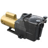 Hayward Super Pump