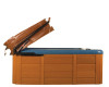 Cover Valet Spa Cover Lifter - CV250 and CV400