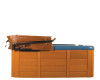 Cover Valet Spa Cover Lifter - CV250 and CV400