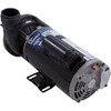 Aquaflo by Gecko Pump Complete, Fmhp, 1.5Hp, 115V, 2Spd (Oem) - 02115000-1010