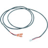 Balboa Water Group Wire Assy, Pres Sw, 2-Pos Plug, 56" - 21223