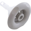 Balboa Water Group/Pentair Barrel Assy,Cyclone Micro Dir.,Lg.Face Emer.Cut,Silver - 964981
