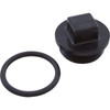 Carvin/Jacuzzi Plug 1-1/2 W/Gasket 13001300 - 43309103R000