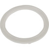 Waterway Plastics Mini Jet Wall Fitting Gasket - 711-0010