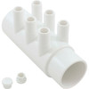 Gentekk Industries Manifold 2"S X 2"Spg X (6) 3/4"Barbs - WM2XSP-6