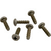 Hayward Pool Products Cover Screw, Set Of 6 - SPX0714Z1