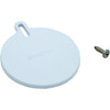 Hayward Pool Products Flo-Control Slide Plate W/ Screw - SPX1082H1B
