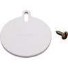 Hayward Pool Products Slide Plate W/Screw - SPX1082H1A