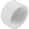 Lasco Cap Pvc 1.5" Fpt - 448-015