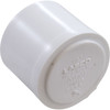 Lasco Plug Pvc 1.5" - 449-015