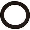 Pentair Pool Products Gasket Flange 120-420 - 070942