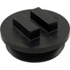 Pentair Pool Products Plug-2" Npsm - 195829