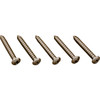 Pentair/Letro Screw, Jv5C & Jv2B (5 Pack) - JV46
