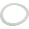 Pentair Pool Products Washer-Polyethylene 2 - 195004