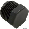 Pentair/Rainbow 1/2" Npt Plug - R172134