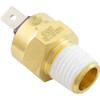 Pentair/Sta-Rite High Limit Switch - 42001-0063S