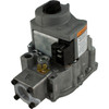 Raypak Combination Valve Pro. Dsi - 011591F