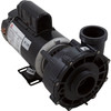 Waterway Plastics Pump Complete, Ex2, 1.5Hp, 115V, 2",2-Spd (Oem) - 3420610-1U