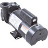 Waterway Plastics Ww Side Disch Pump Complete,Spl,3Hp,230V, 2-Spd (Oem) - 3421221-10