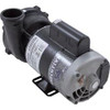 Waterway Plastics Ww Exec 56 Frame 2 1/2" Pump Complete,2Hp,230V,2-Spd (Oem) - 3720821-13