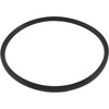 Zodiac/Jandy/Laars Lid Seal, Sand Filter - R0487400