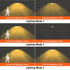 Solar Barn Light, 3 Lighting Modes & Motion Sensor