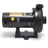 Hayward 3/4 HP Booster Pump | W36060