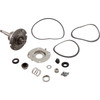 Pump Bearing Kit, Lochinvar  - 100277757