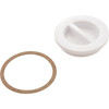 Plug, Hayward, Flush Inlet Fitting, 1-1/2"  - SP1022B