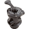 Multiport Valve, Raypak Protege, 6-Way, 1-1/2"