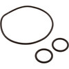 Valve O-Ring Kit, Generic Jandy Neverlube 2/3-Way Valve