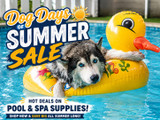 Dog Days Of Summer Deals For You